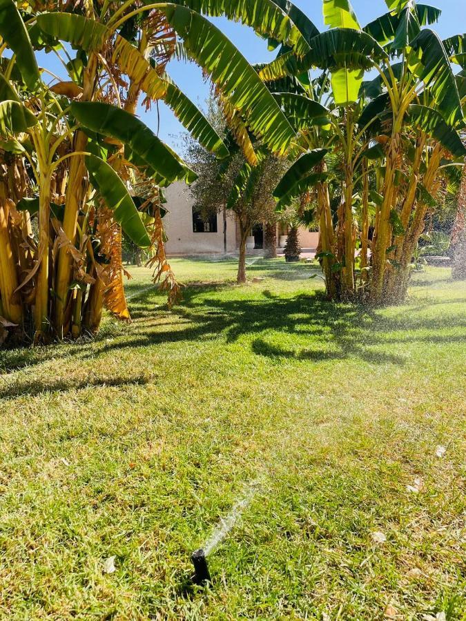 Villa Msholidays Victoria Privatisee Marrakech Марракеш Екстер'єр фото
