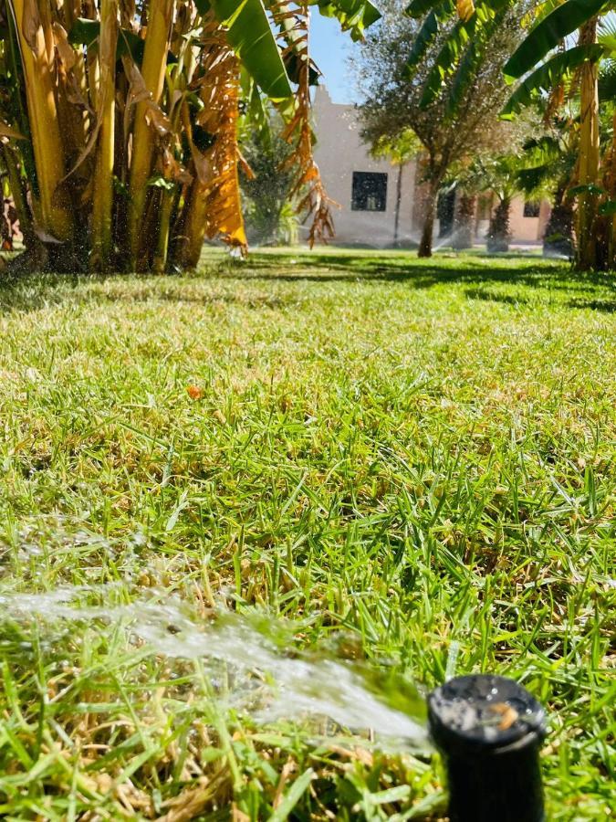 Villa Msholidays Victoria Privatisee Marrakech Марракеш Екстер'єр фото
